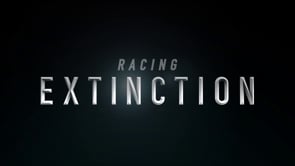 Discovery Channel - Customer Success Story