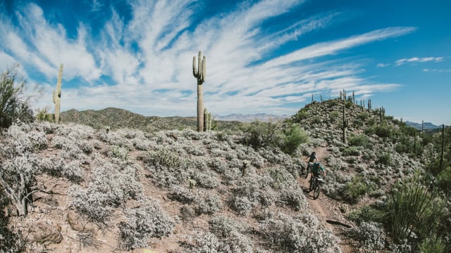 The Black Canyon Trail from Rocky Mountain Bicycles