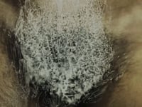 Transpira – vulva espumante