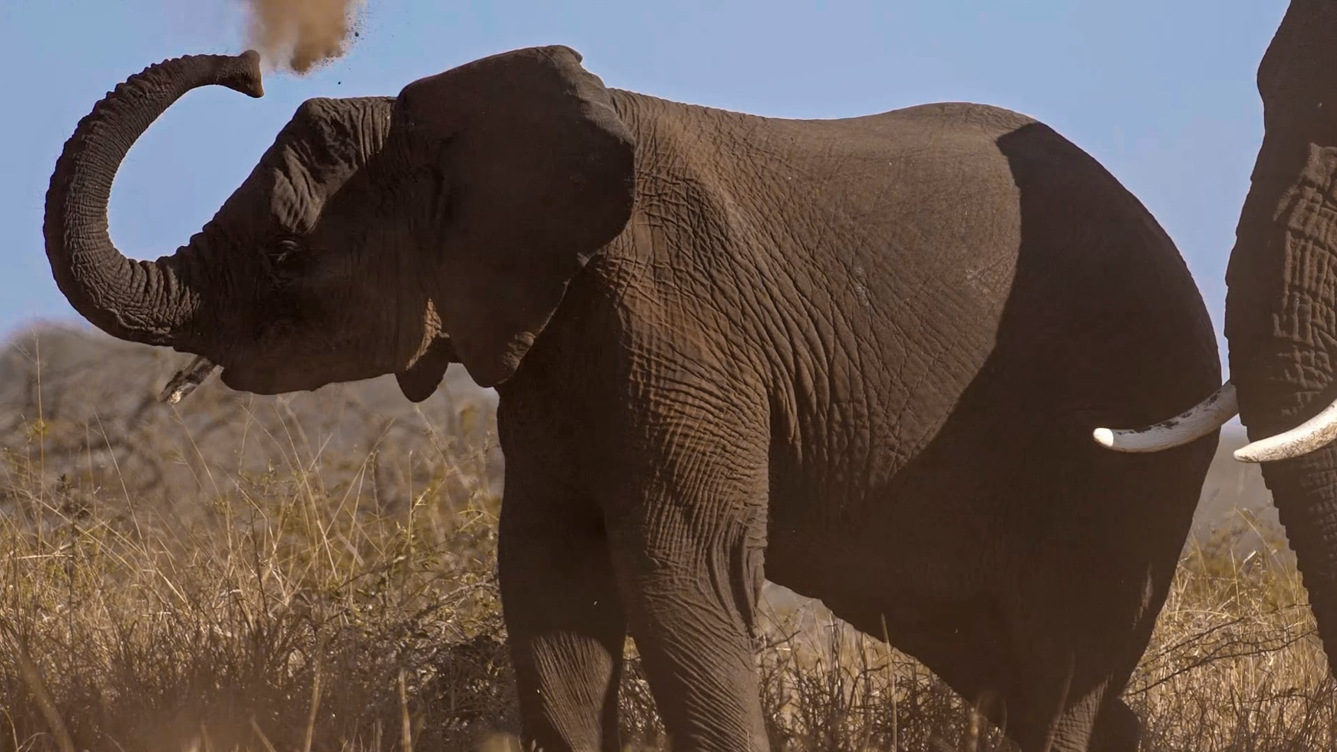 uThungulu King's Experience - Tourism