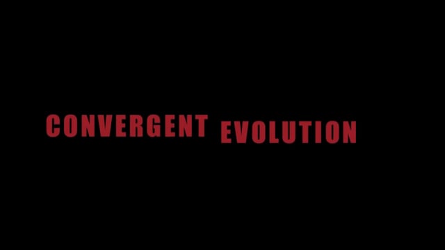 Tony Blauer & Rory Miller: Convergent Evolution