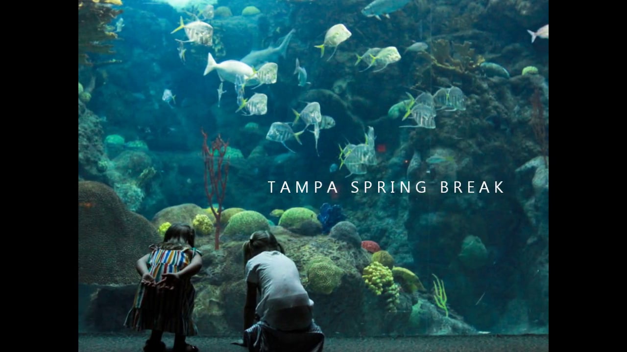 Tampa Spring Break