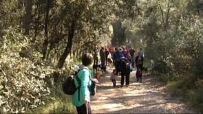 Caminada solidària amb l'Anxova Peluda