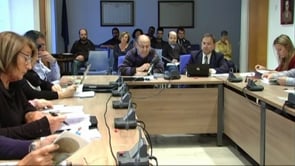 Ple extraordinari del síndic de greuges 