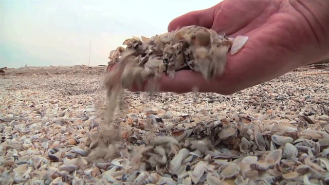 Related Embedded Video Item Thumbnail