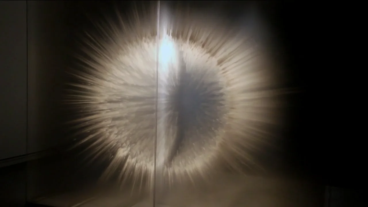 David Spriggs, Vision film still