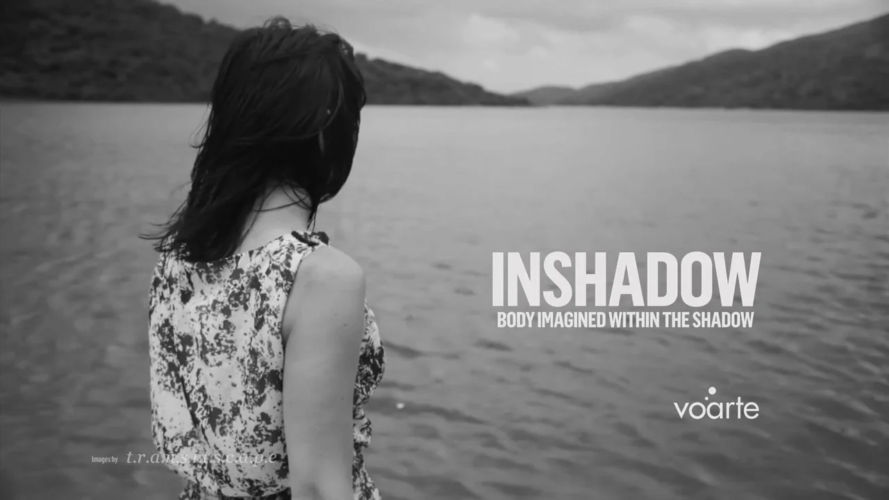 InShadow 2014 VI Edition | OPEN CALL  