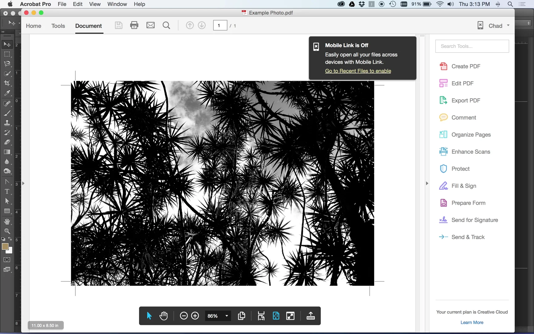 Adding Crop Marks in CC on Vimeo