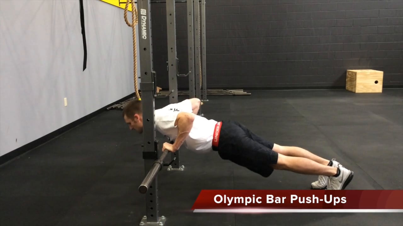 Olympic Bar Push-Ups / Inverted Rows on Vimeo