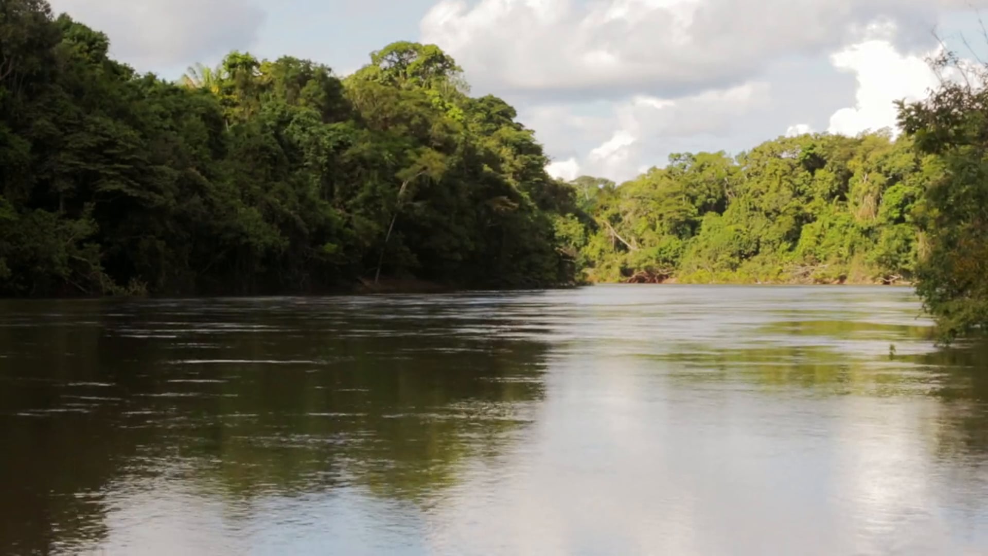 Complexo Apiacás | 01