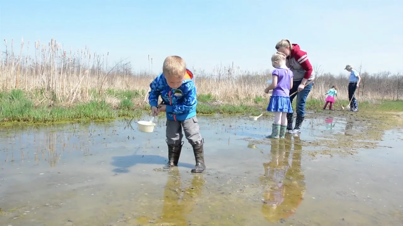 Signs of Spring on Vimeo
