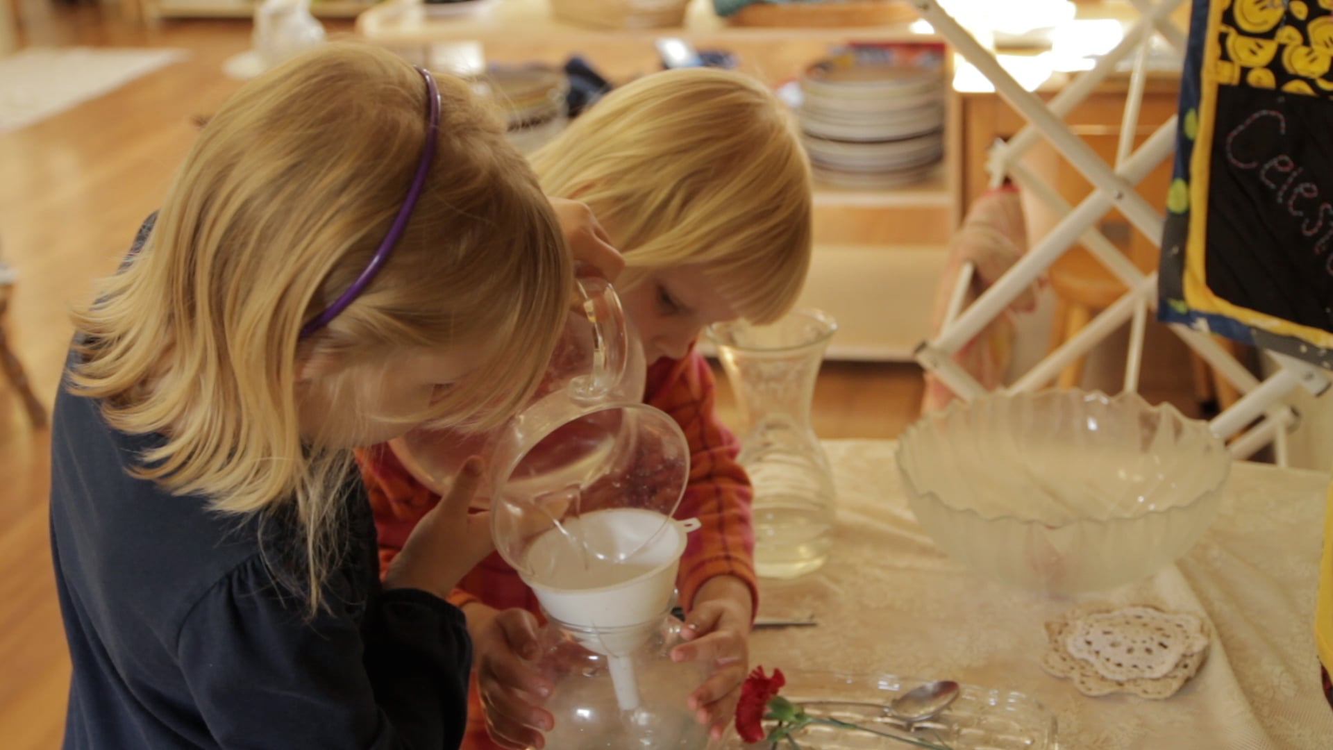 Support for Montessori Practice: New Teachers