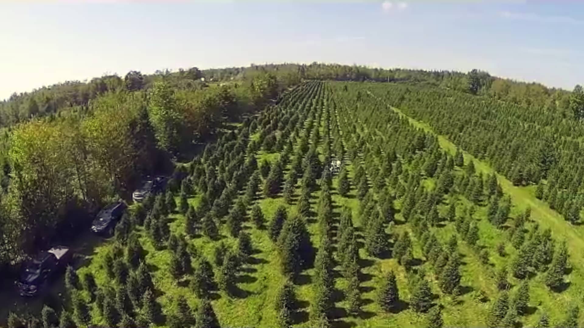 Hilltop Christmas tree delivery on Vimeo