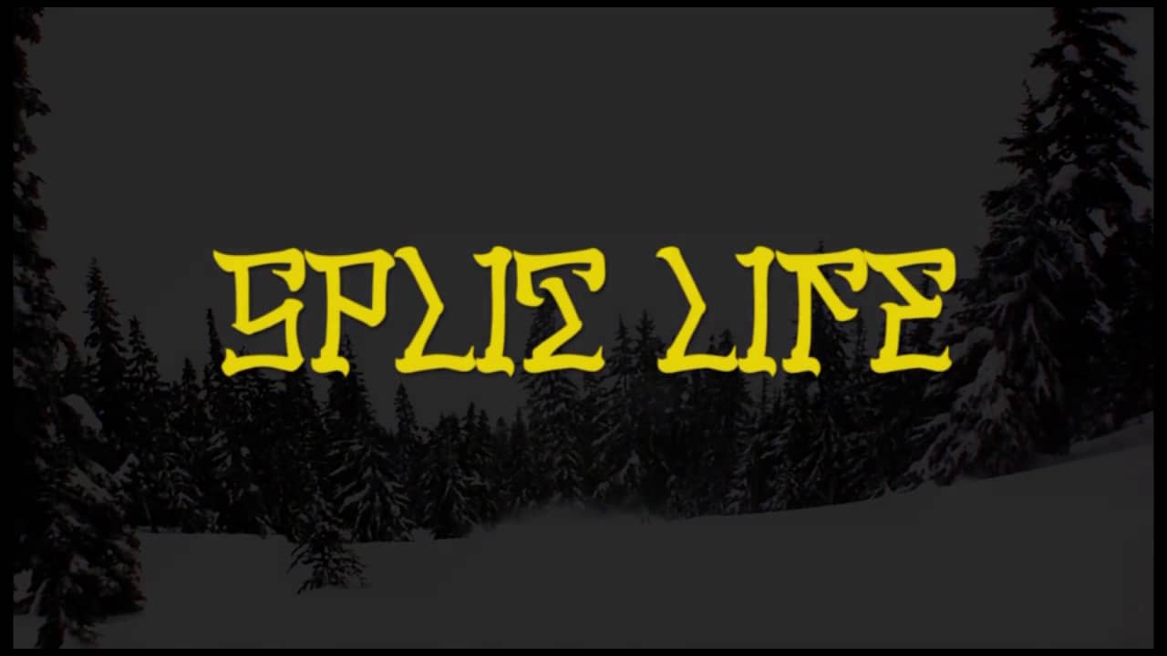 The kid laroi stay. Lives split. Live split. Split to life. Life split.