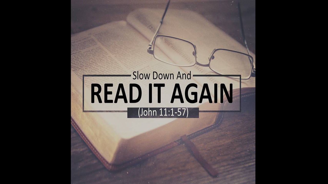Slow Down and Read It Again (Steve Higginbotham)