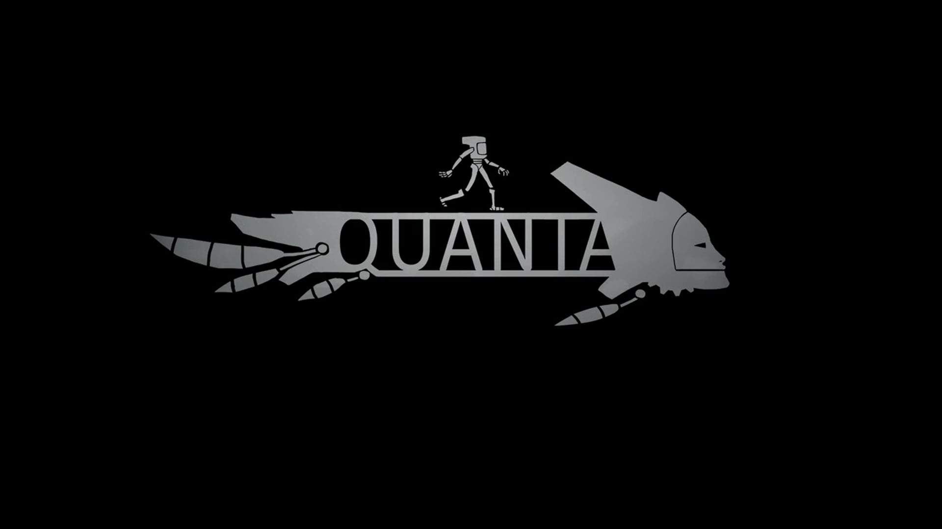 Quanta