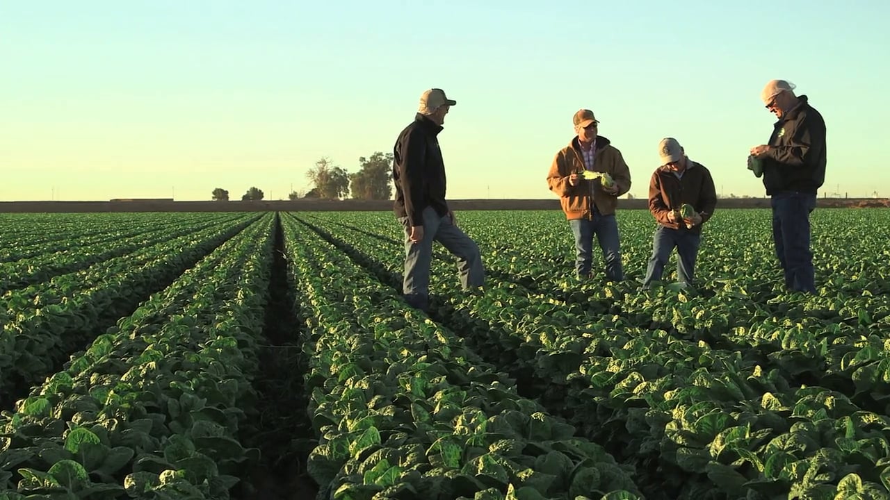 GreenGate Fresh - What's In a Name?