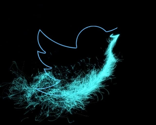 Twitter Logo Reveal