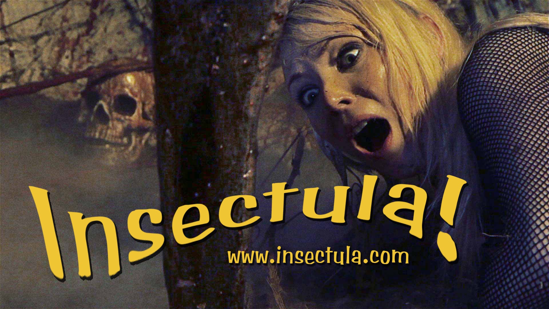 Insectula! trailer on Vimeo