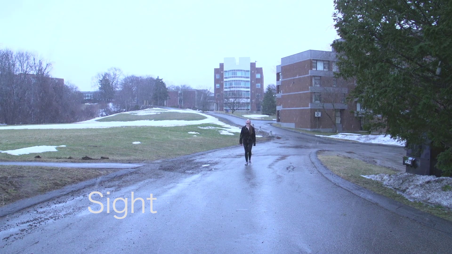 Sight