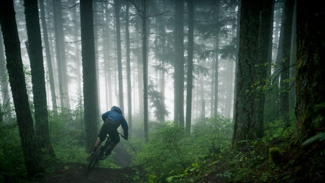 The Pacific Northwest from Yeti Cycles