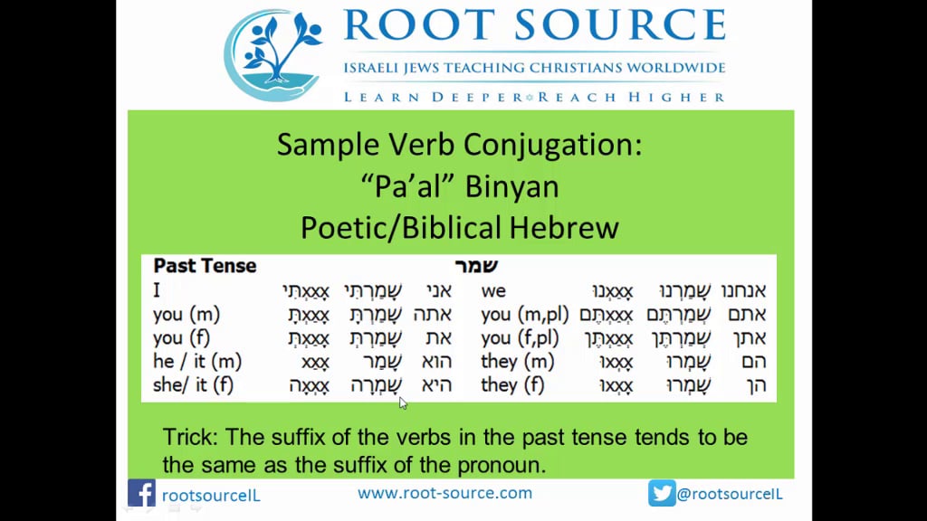 Seth Young | Hebrew Verb Conjugations (Gen 1 7)