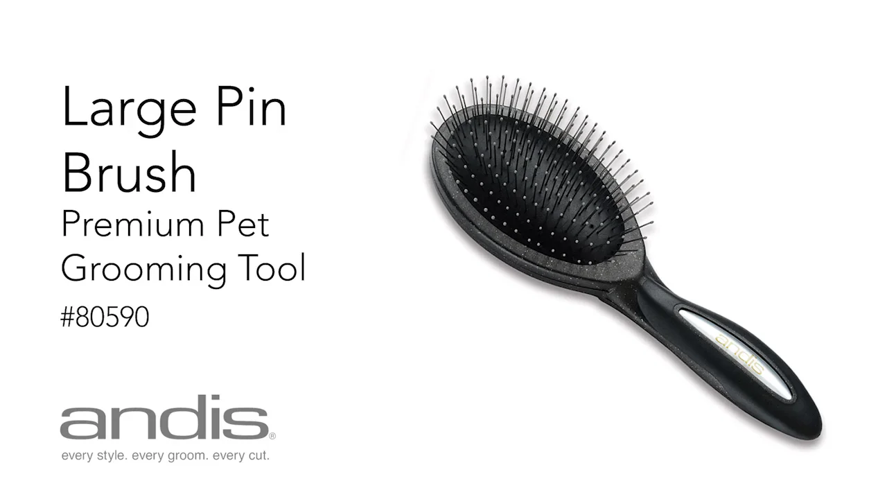 Andis premium pin store brush