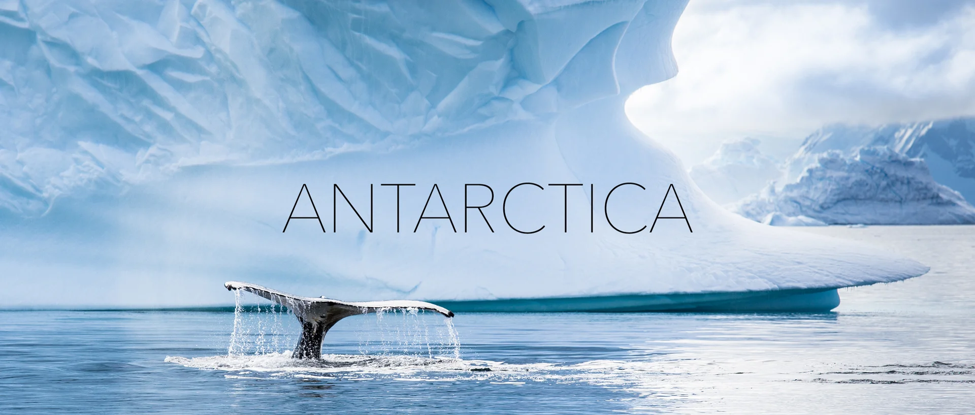 Antarctica video shop