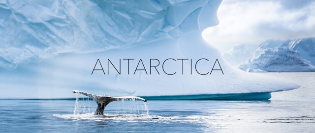 20 days in Antarctica