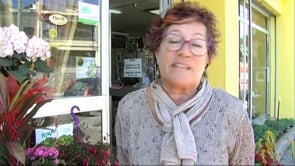 Sant Jordi 2015- tarda