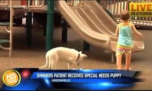 Dog Breeder Talks About Pup Born Without a Paw