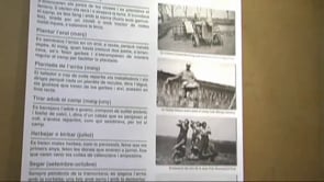 El conreu de l’arròs. Ampostins i valencians a l’Escala