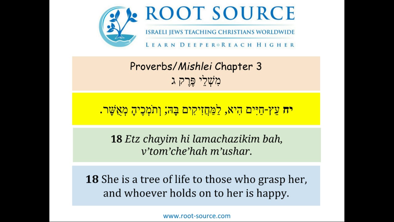 Rabbi Aryeh Leifert | Proverbs Chapter 3 b