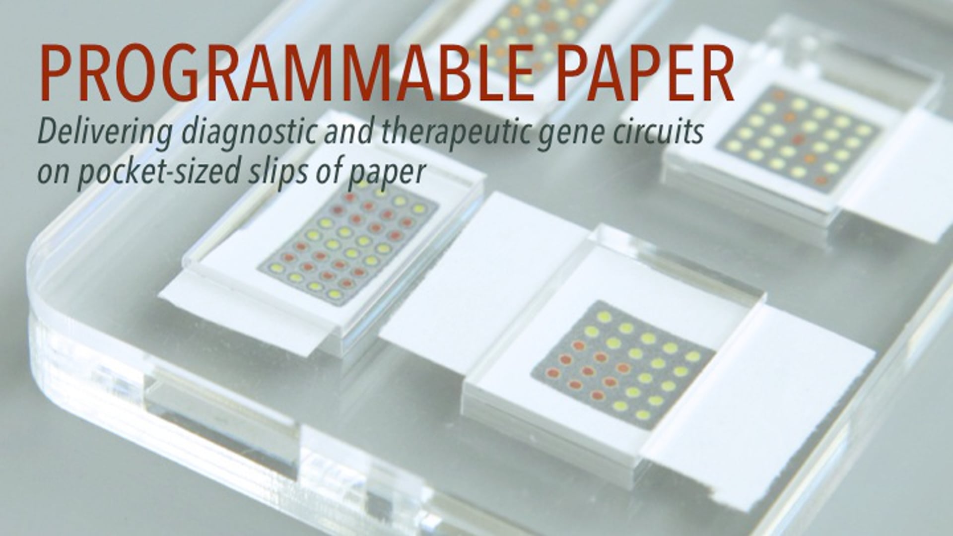 Programmable Paper: Advances in Synthetic Biology