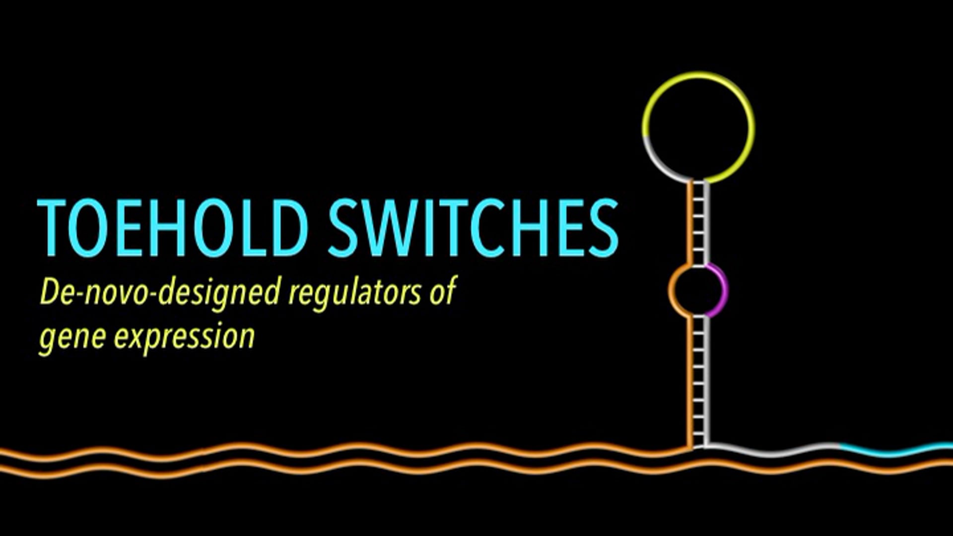 Toehold Switches