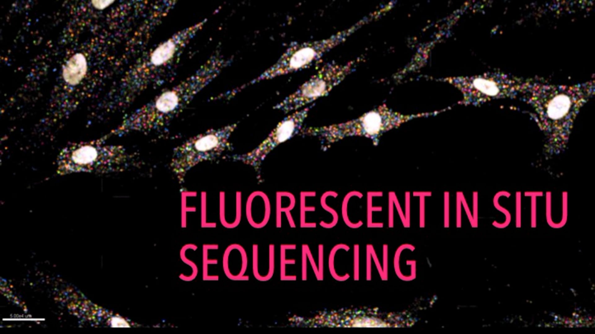 Fluorescent in situ Sequencing