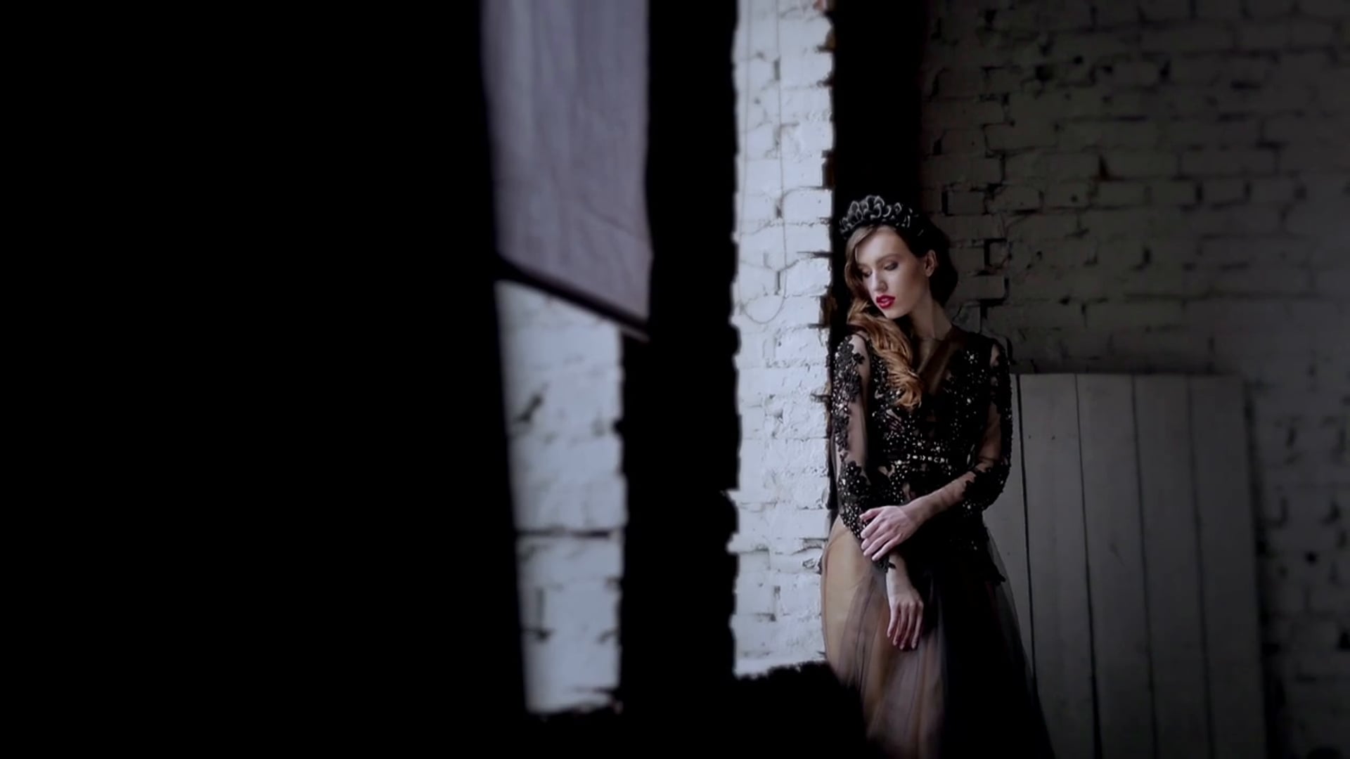 Velvet of the night
