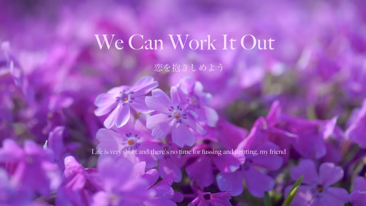 We Can Work it Out 【恋を抱きしめよう】- The Beatles 