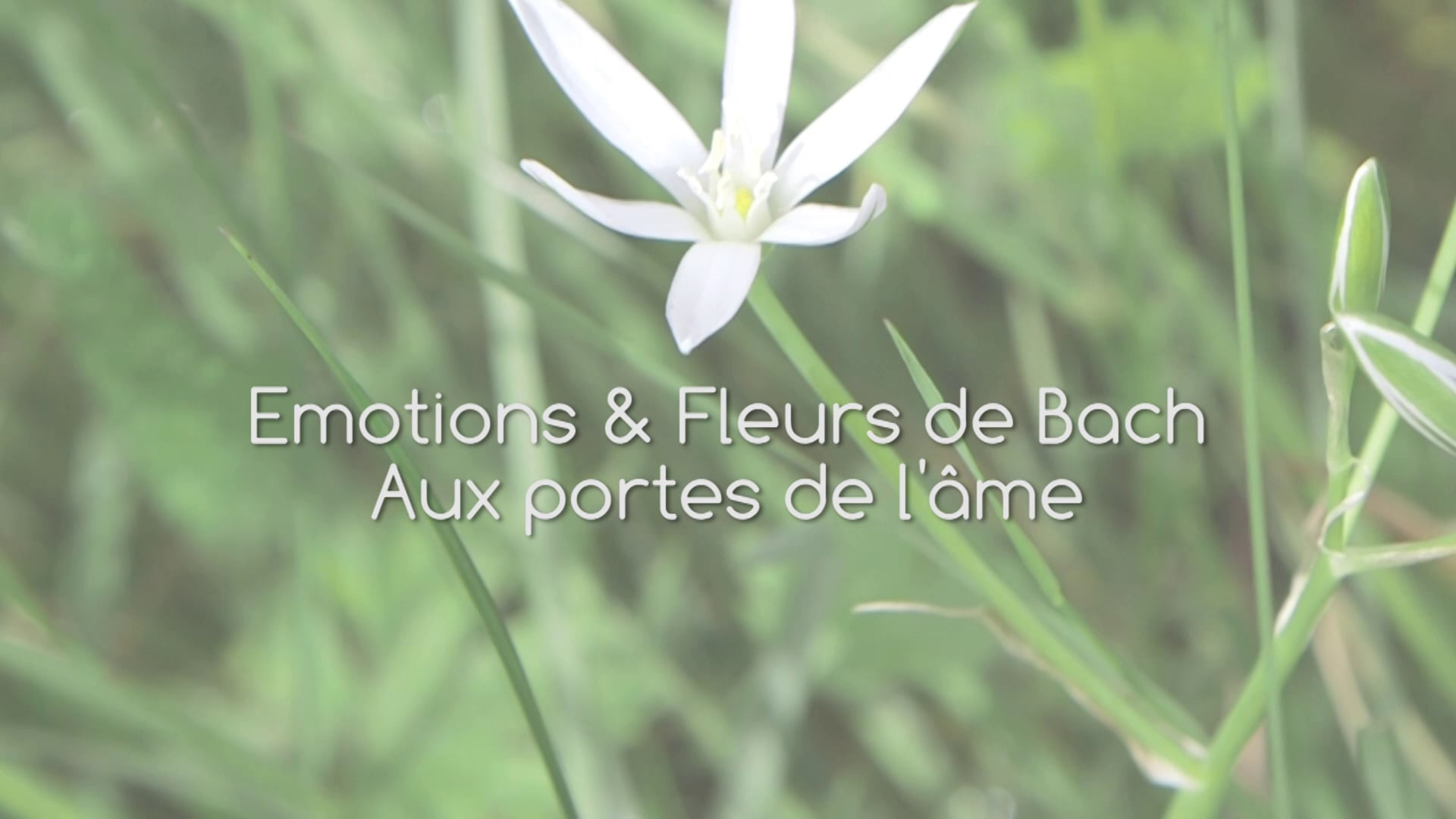 Toutes les vidéos