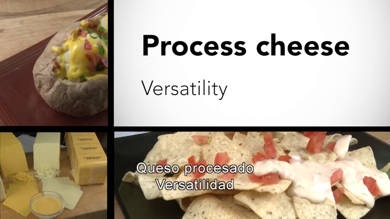 Schreiber Foods Nuestros Productos Process cheese versatilityHD