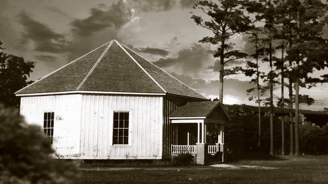 video image