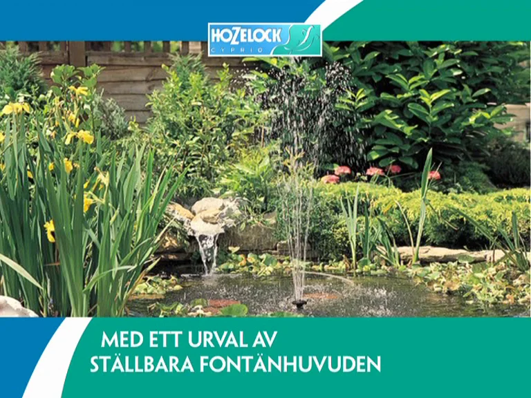 EASYCLEAR  SWEDISH MPEG 2