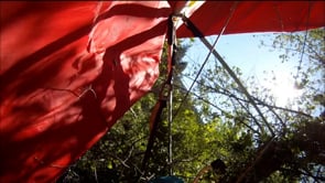Hang Gliding