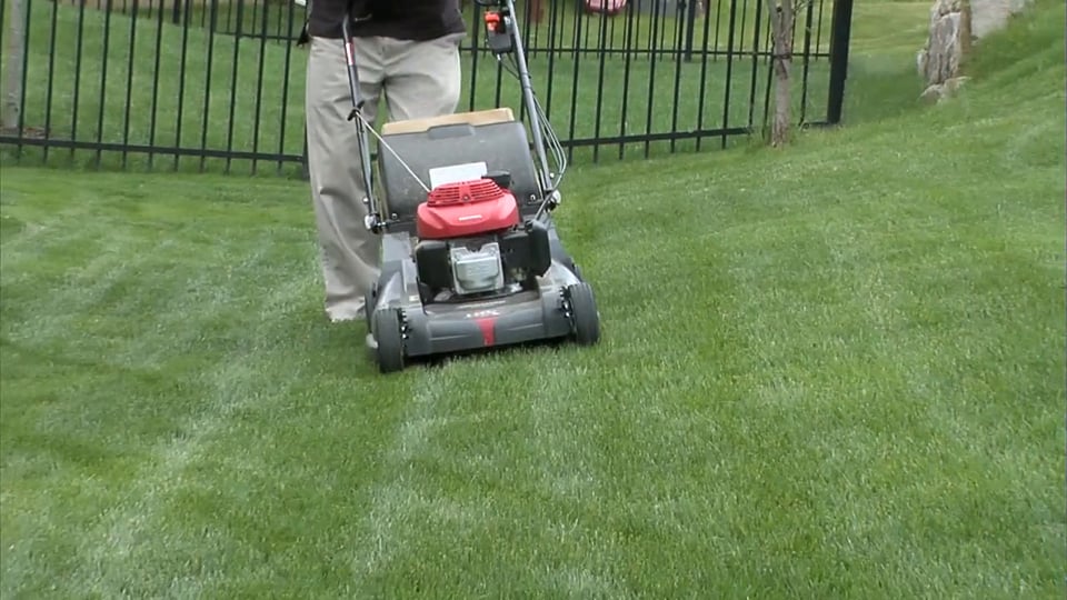 Tips from Toby – Spring Mowing Essentials