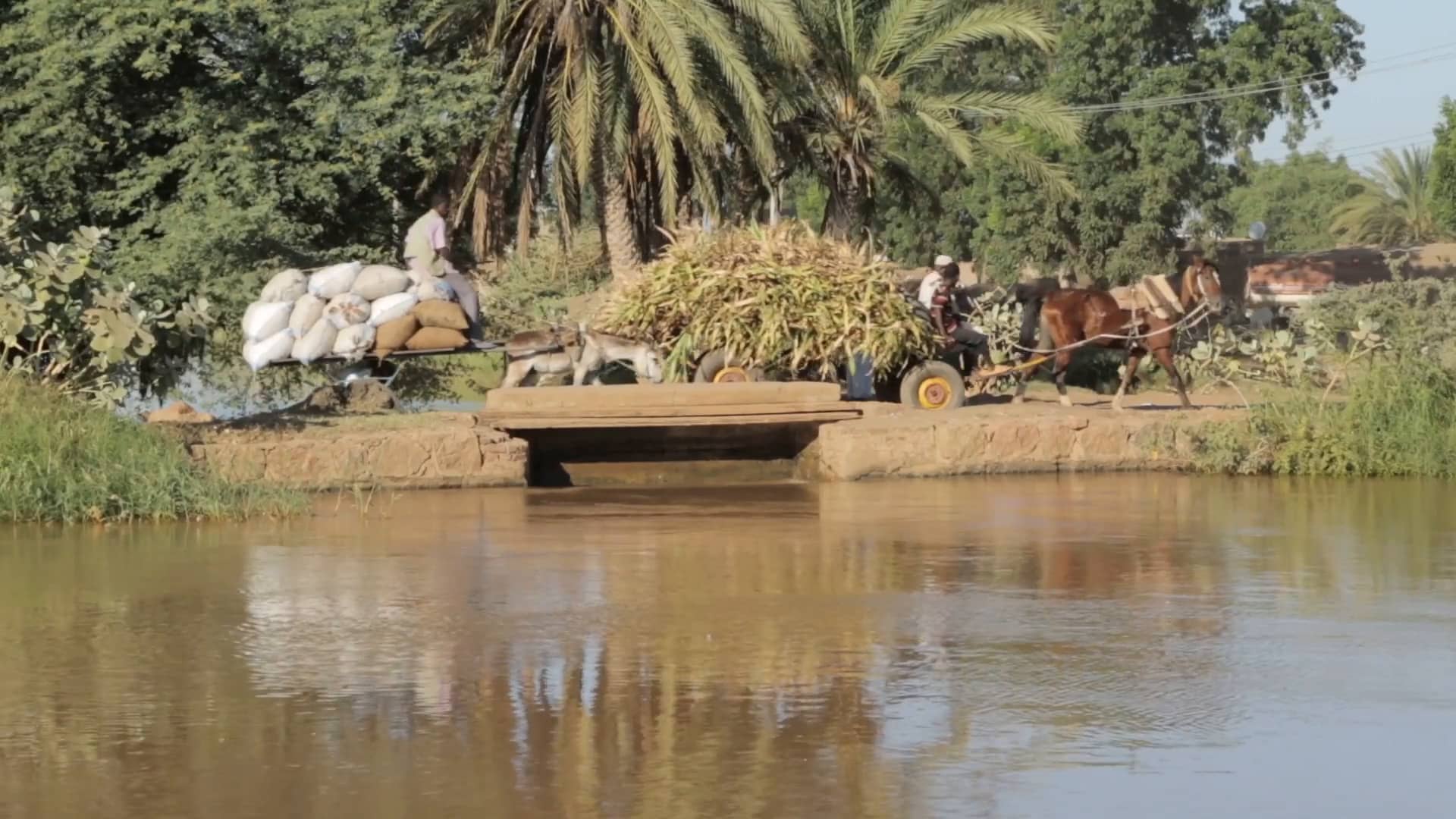 gezira-irrigation-scheme-a-struggle-for-revival-on-vimeo
