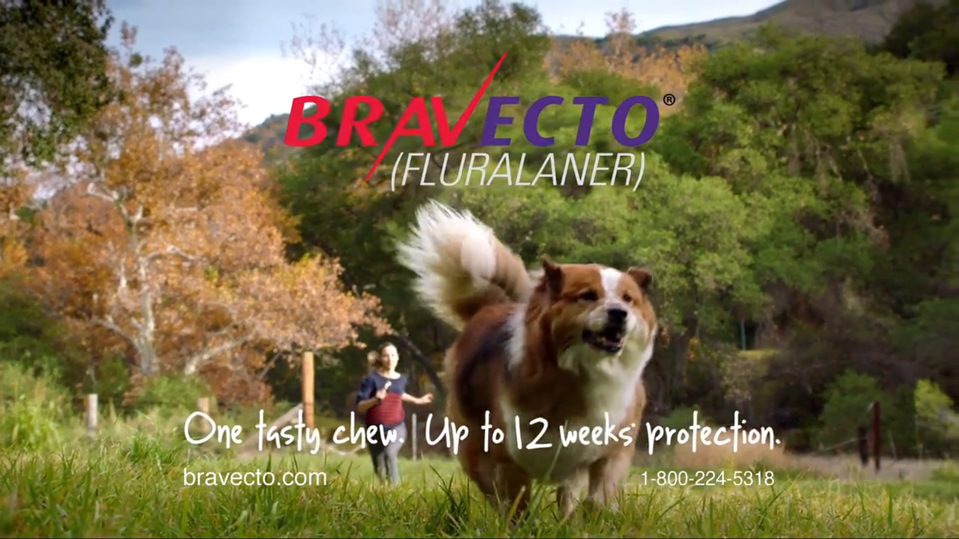 VO as Jack the Bravecto Dog