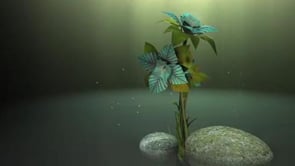 BOTANICAL;Dancing Rainbows, Excerpt;Ljudbilden & Piloten - Flock;splashing in the tub;The Actor Diaries - EPISODE 1 - "The Auditioner";My First 5x5;Frühling in HDTV;Kemi Snowcastle 2008;wild night;Not About Love;Essence Magazine Video Application;Luis & The Wildfires;Day in the life;The sound of lite EPK;welcome home;Super Tuesday;Winter X Games Go Green!;THE FASHION "Solo Impala";looking down.;Aquarium (wallpaper);Iceworld;Robot;36 minutes;I Eat Beats;A Kiss Lipdub;Toothpick Removal;Softlightes - Heart Made of Sound;Cyclic Nature of Time;Frozen Grand Central;Portland Headlight;HOLDING HANDS;" The Light ";Hooray for Earth-"Warm Out";Rainy Day;Solar;Going Home;Collaboration;five x five fly;Gadgets Busking;The Seger Family Adventurers;Scott Huckabay - Secret Portal;sleater-kinney: jumpers;Modules;HD pictures from St Peters Basilica, Rome;Moscow warm summer night;Shlino lake sunset time lapse;The Rainbow Chasers;Madagascar singing - LEMURIA TV;Another Trip To The Long Beach Aquarium Of The Pacific;Soft City Lights: Bad Veins;Nathanael in the Water;ASIMO - The Humans Are Dead;December Afternoon;Dark Undercoat ~ Emily Jane White;Magnetic Ink, Process video;No Pants 2k8;Experimental Animation - Snow on Windshield;64 Days, a Making of - Part 1/5;Tilt-Shift Photography;EXPLORING THE HIGHLANDS;Nizlopi Durness Smoo Cave Gig;This Moment;Lea 36h City Projection;Leo's Song;ScreenLapse;Dreams;Nullsleep // Blip Festival 2007: The Videos;Ace and Jocelyn - The TV Pilot;Lightning Strikes on the John Hancock Building;5x5 - One Day;SSDLHR #1: Goat Grabbing;Danse (dance);Lions Movie Stars at Lion Kingdom SA;"Back In The Day" by Figurines;Lily Time-Lapse in HD;Support the Vimeo Meet Up!;Drifters of the deep;Pond Hockey;Time-lapse video: Phaseolus (bean) seeds;How-to: Low Angle;A Turtle, A Bird, and A Log On The WATER;Morning Walk;A Polaroid Christmas;Blue Christmas;Catch That Beat;Gratitude;IAC Christmas Party;five hundred days;Beneath the Rubber Tree;Photojojo's Time Lapse Video of Bryant Park;Golden Gate Bridge;Panda plays with ice;Forty Seven;Gone in a Flash;Coronado to Imperial Beach