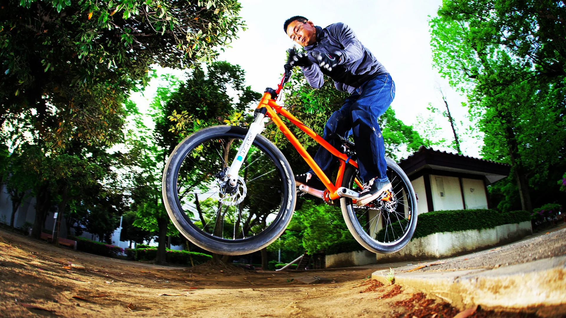 マグラ ダウンヒルハブ 36h BMX ストリート トライアル