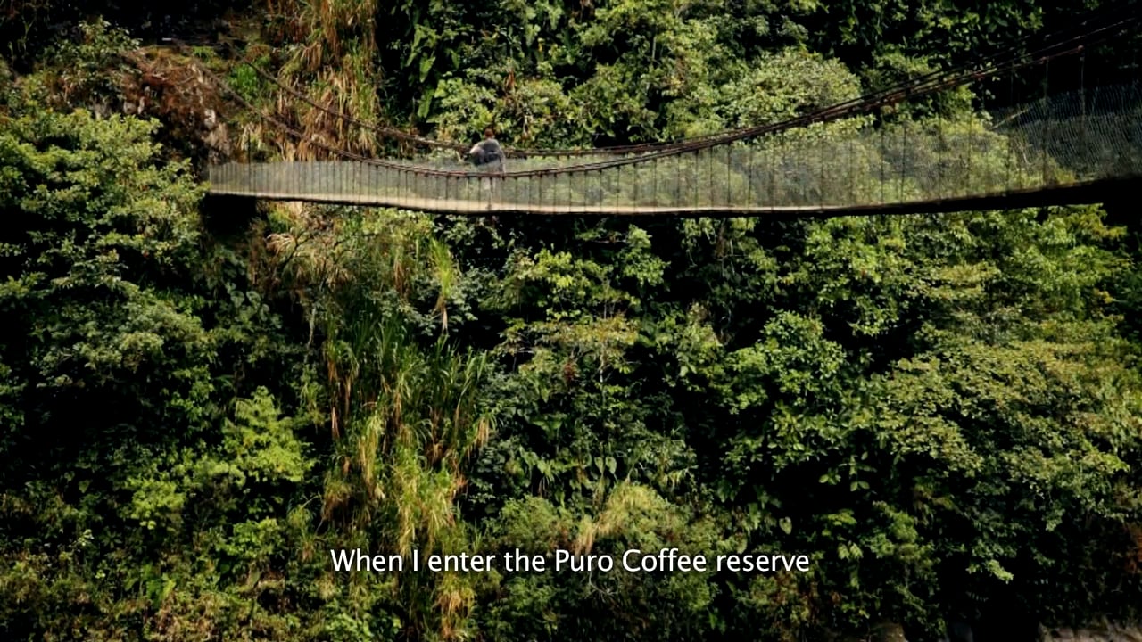 Puro Coffee Ecuador Rainforest Reserve