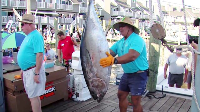 Ocean City, MD Fishing Community Promo